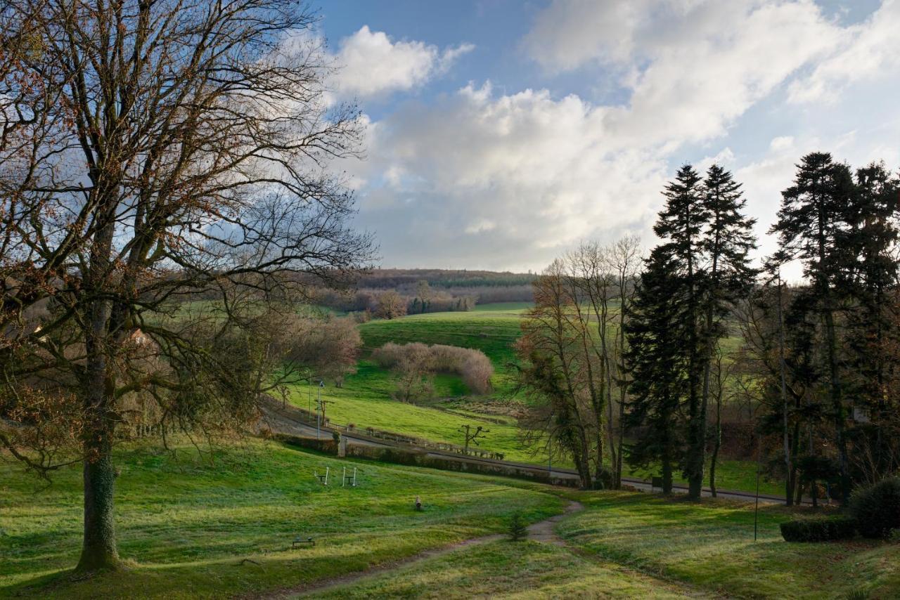 Domaine Des Myosotis, Chambres D'Hotes Saint-Honoré エクステリア 写真